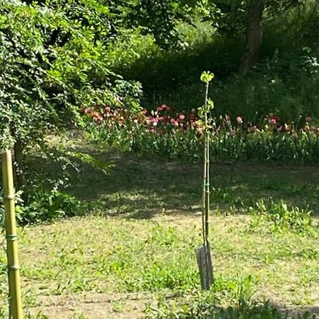 Eco House Roero Cottage Алба Екстериор снимка